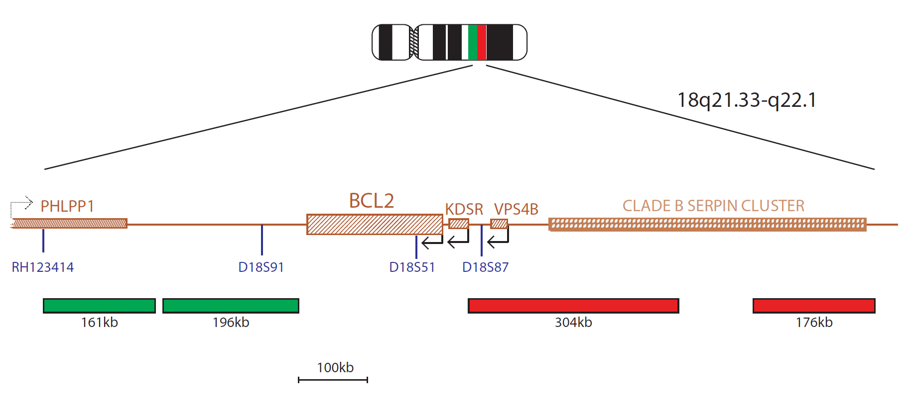 BCL2 Breakapart