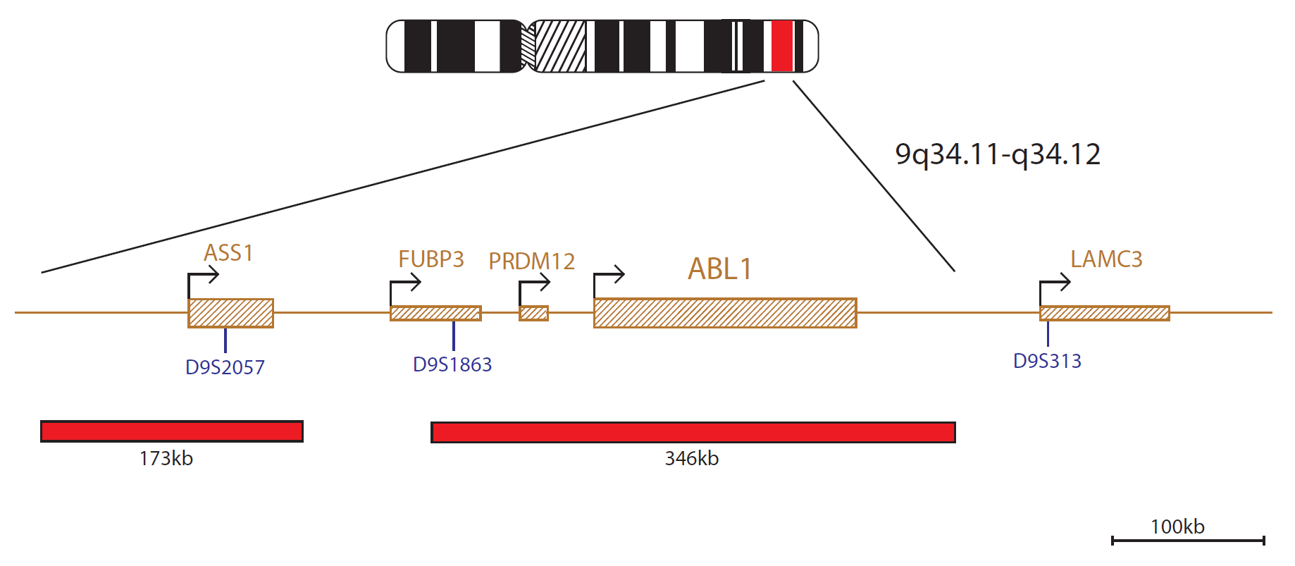 BCR/ABL Translocation
