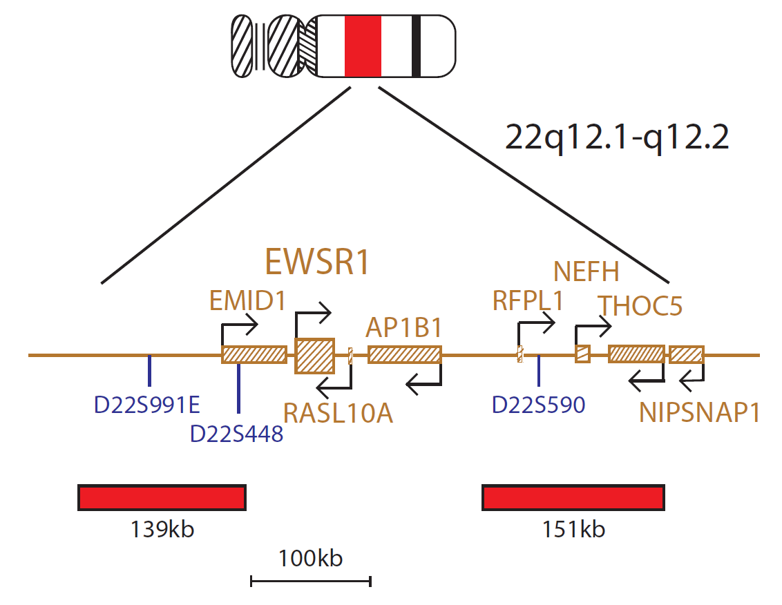 EWSR1 / ERG Translocation