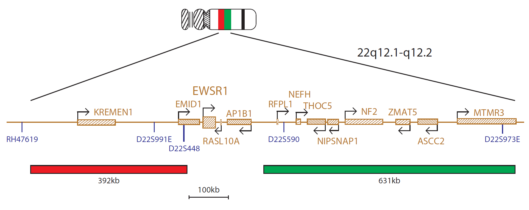 EWSR1 Breakapart
