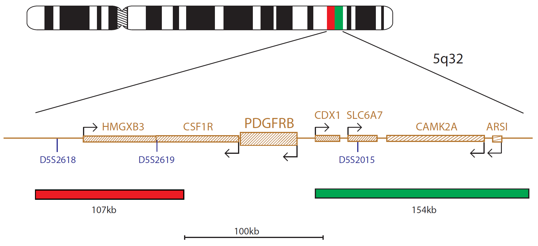 PDGFRB Breakapart