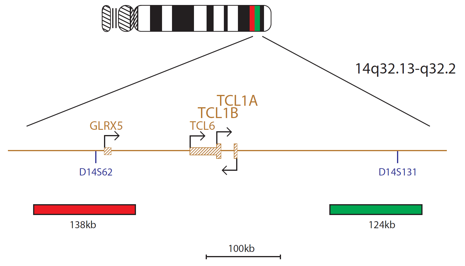 TCL1 Breakapart