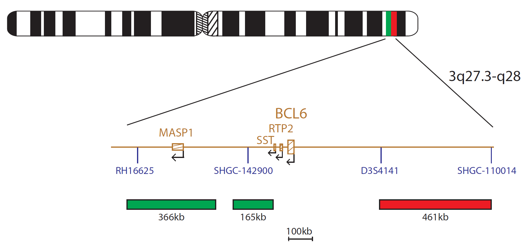 BCL6 Breakapart