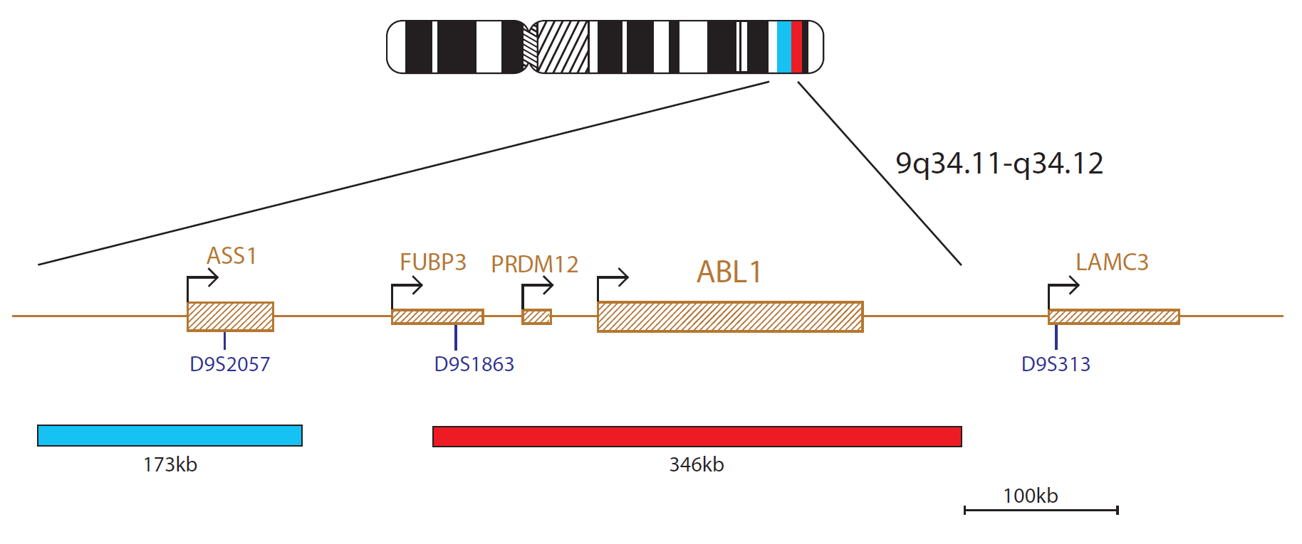 BCR/ABL PLUS Translocation